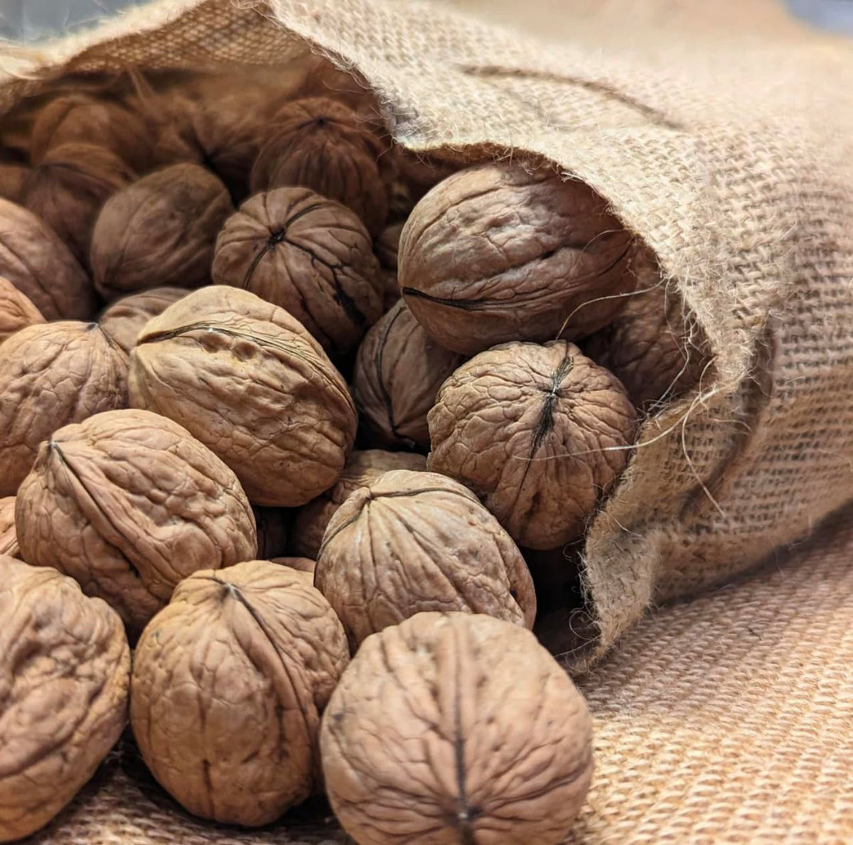 JMSPACK - Walnuts Halves With Pieces, 16 Ounces (1 Lb)