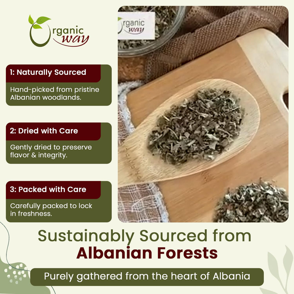 Organic Way Blackberry Leaf (Rubus fruticosus) Cut & Sifted - Herbal Tea | European Wild-Harvest | Organic & Kosher Certified | Non GMO & Gluten Free
