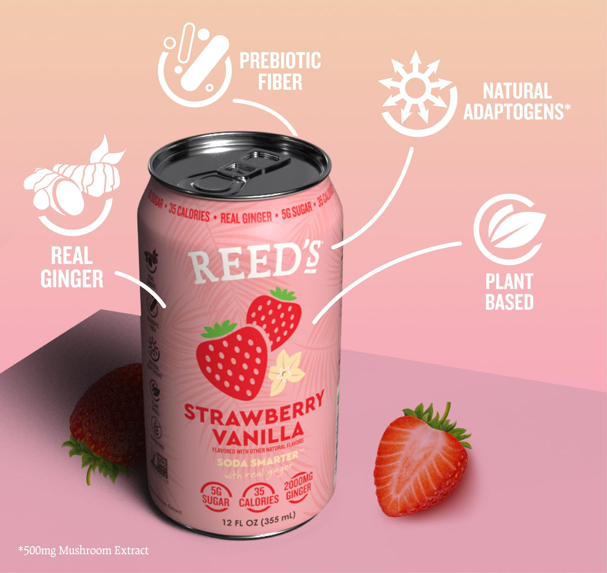 Reed's Strawberry Vanilla Functional Soda - Organic Ginger, Adaptogen Mushroom Blend, Prebiotics - 12oz Cans, 12-Pack
