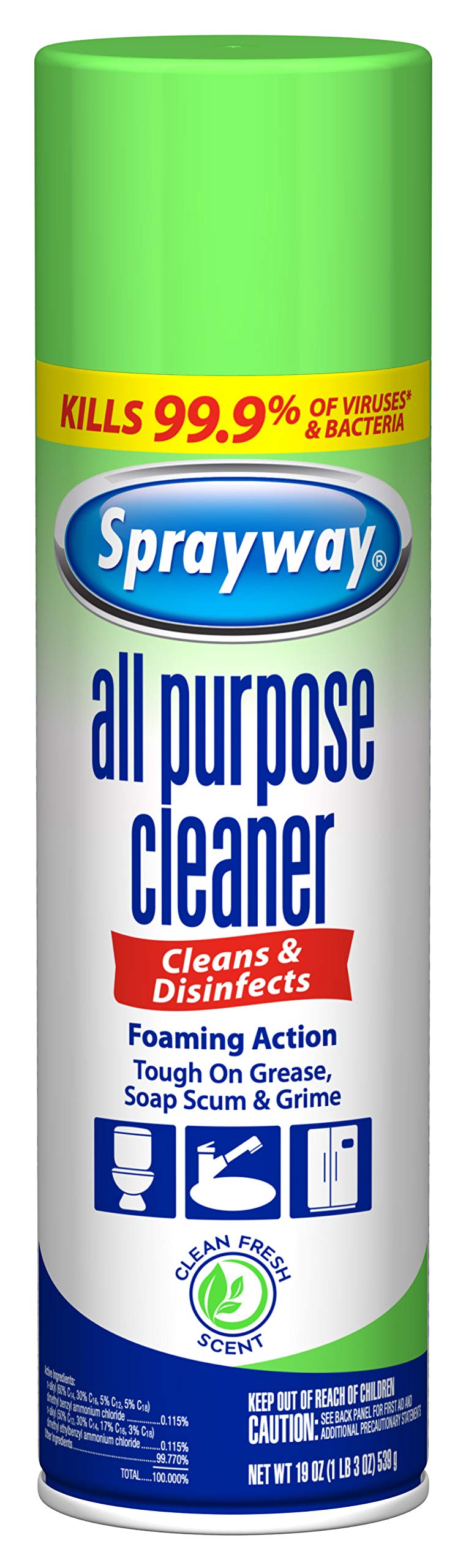 Sprayway All Purpose Disinfectant Cleaner, Foaming Action, 19 Ounce
