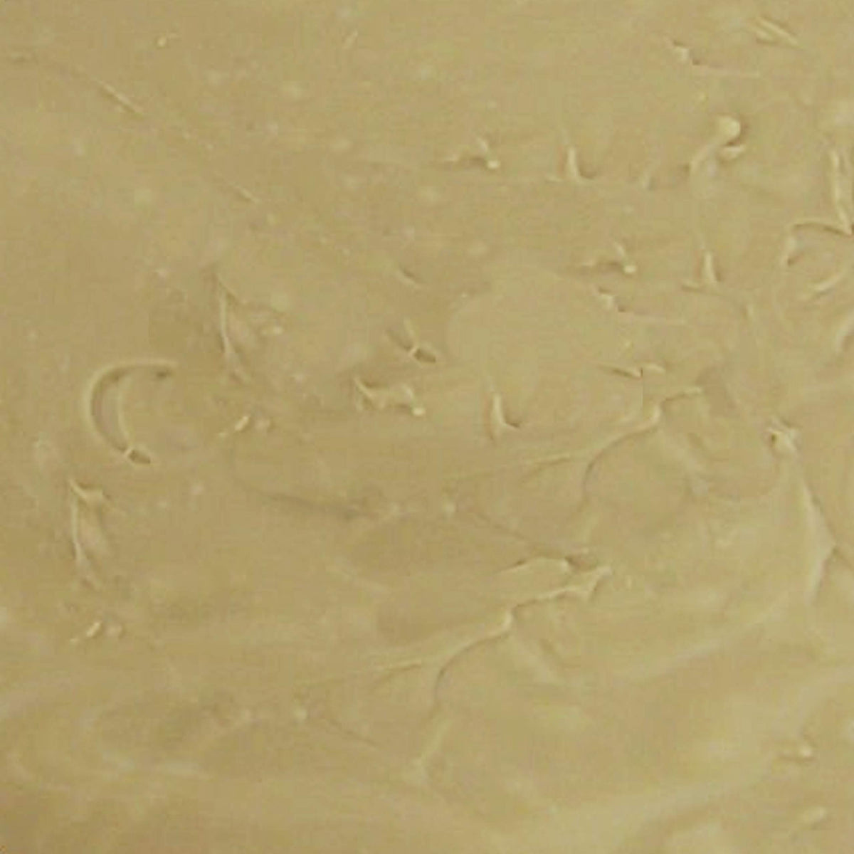Home Made Creamy Maple Fudge - 1 Lb Box
