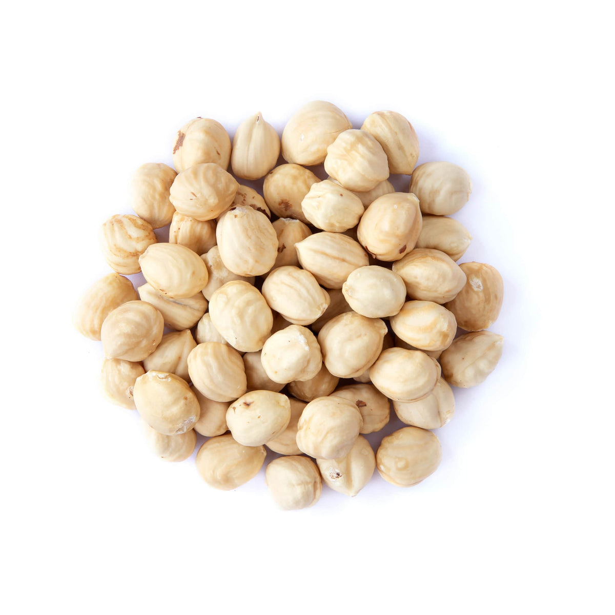 Organic Raw Blanched Hazelnuts, 1 Pound - Non-GMO Filberts, No Skin, Unsalted, Unroasted, Vegan, Bulk Nuts. Good Source of Protein. Great for Desserts