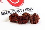 Fiery Farms Carolina Reaper Pods - 8 oz - 1.5M to 2M SHUs Extremely Hot Red Chili Pepper Dried Whole Pods, Pure, No Additives