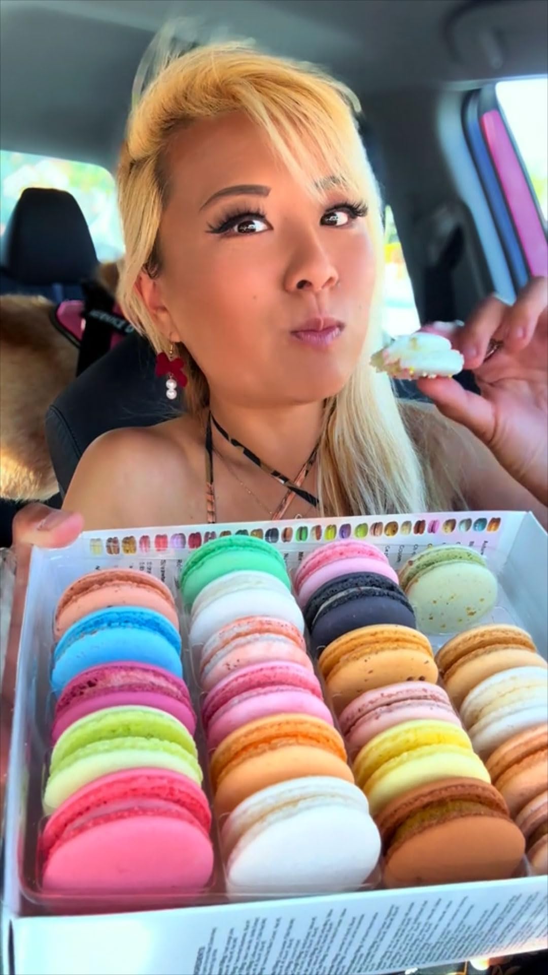French Macaron Bites® Cake Batter, 24 Cookies