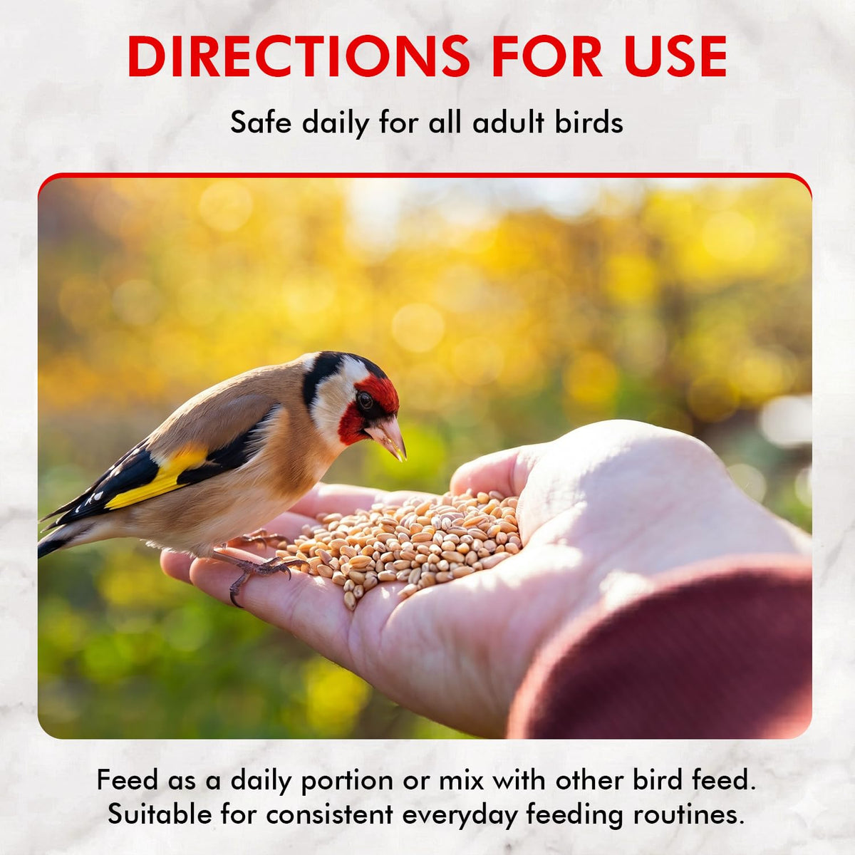 Morning Bird Steel Cut Oats 18 lbs (2-Pack, 9 lbs Each - High Protein Natural Cut Oat Grain for Birds & Easy-to-Eat Pieces - Supports Balanced