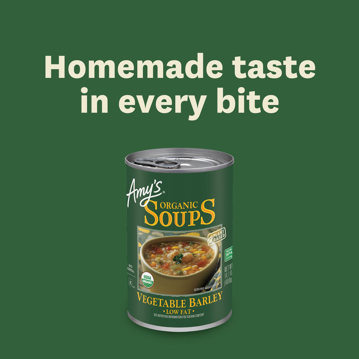 Amys Soup Vgtble Barley Org