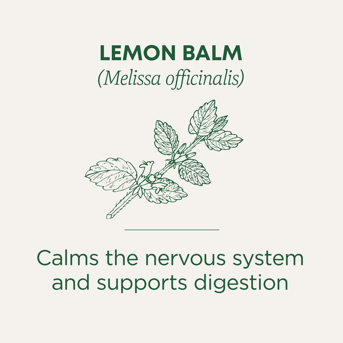 Herb Tea, 95% organic, Lemon Balm , 16 bag (pack of 6 ) ( Value Bulk Multi-pack)