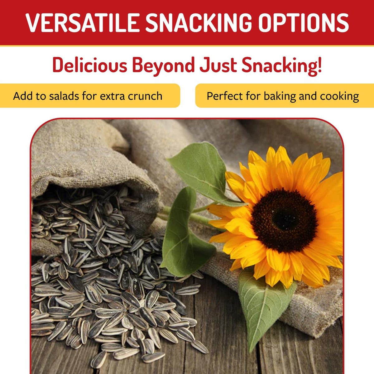Babkini Semechki Sunflower Seeds - Non GMO Seed Packed with Protein& Fiber - Roasted Sunflower Seeds with Resealable Zip Lock Packaging - 4 Pack