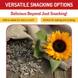Babkini Semechki Sunflower Seeds - Non GMO Seed Packed with Protein& Fiber - Roasted Sunflower Seeds with Resealable Zip Lock Packaging - 4 Pack