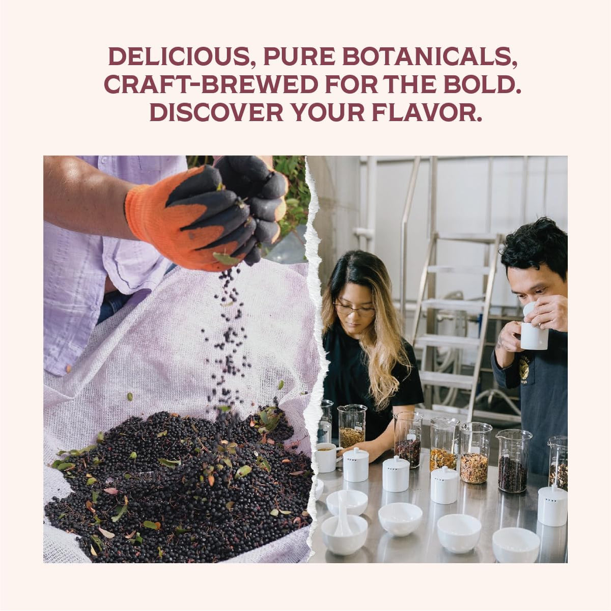 Rishi Tea Elderberry Maqui Sparkling Botanicals Sparkling Water - Organic, Unsweetened, Zero Added Sugar, Caffeine Free, Craft-Brewed From Real Plants