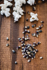 Amish Country Popcorn | 14 oz Bottle | Midnight Blue Popcorn Kernels | Old Fashioned, Non-GMO and Gluten Free (14 oz Bottle)