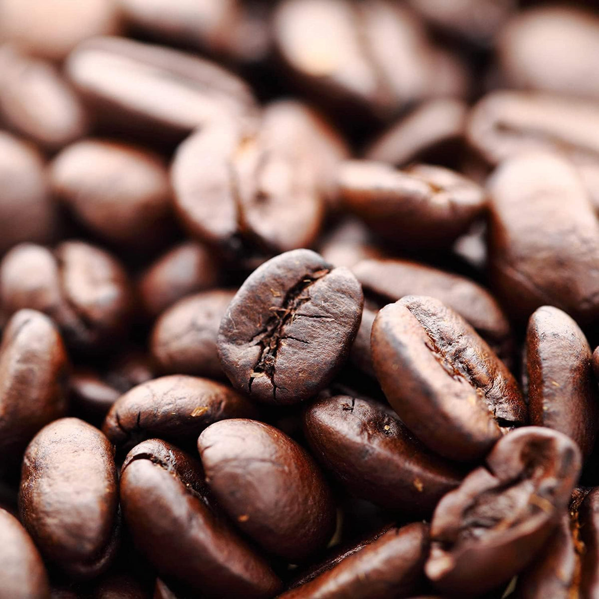Zavida Premium Hazelnut Vanilla Whole Bean Coffee, 2 LB