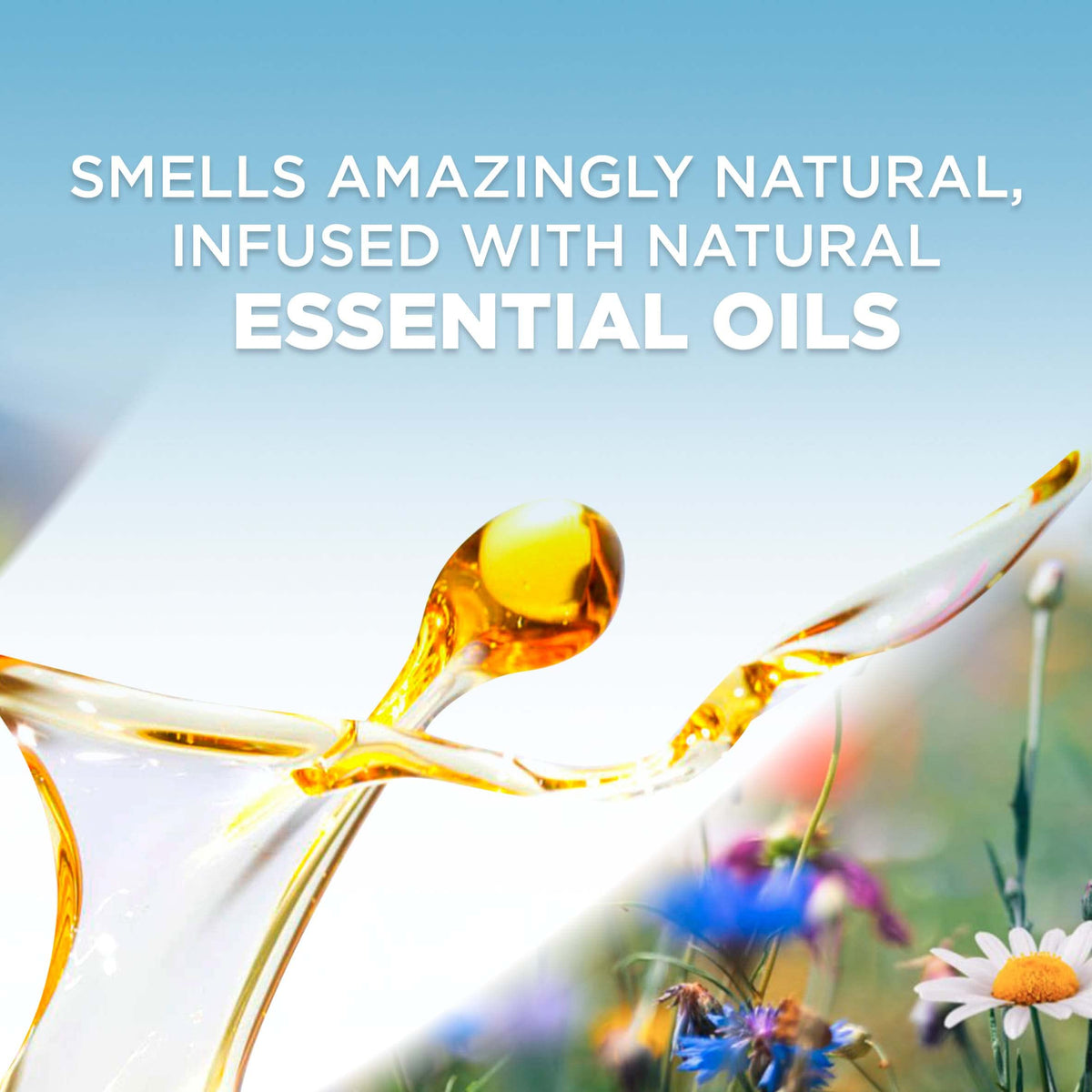 Air Wick Plug in Scented Oil Refill, 5 Ct, Fresh Peach and Sweet Nectar, Air Freshener, Essential Oils, Spring Collection