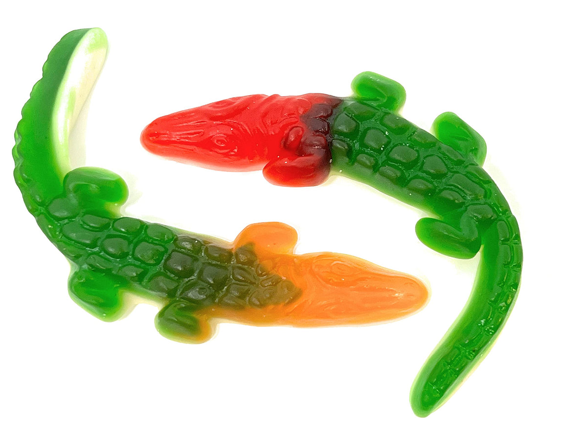 Crocodiles Gummy (2.200 Lbs)