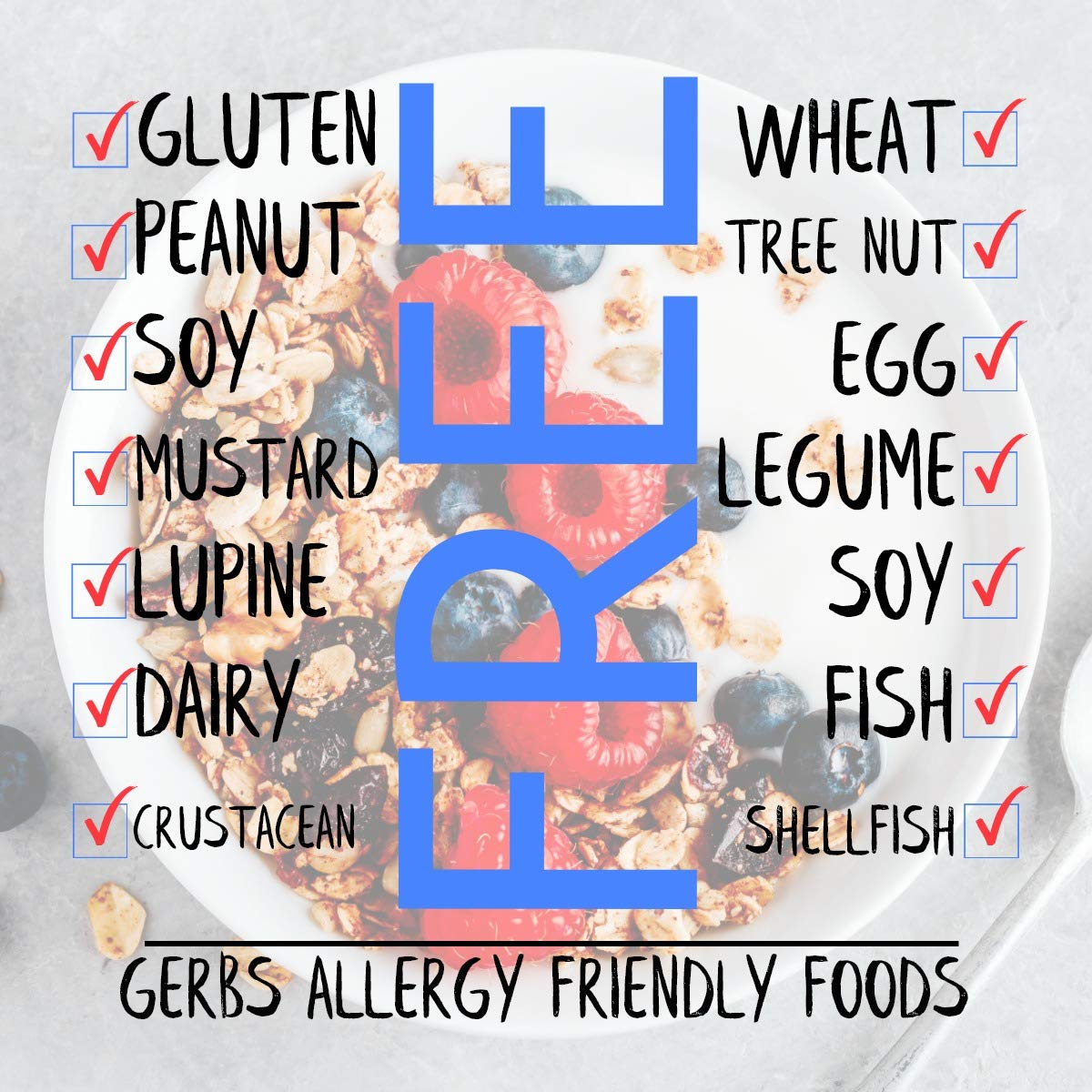 Gerbs Original Seed n' Honey Granola, 4 LBS. - Top 14 Food Allergy Free & Non GMO - Keto Safe - Made in Rhode Island …