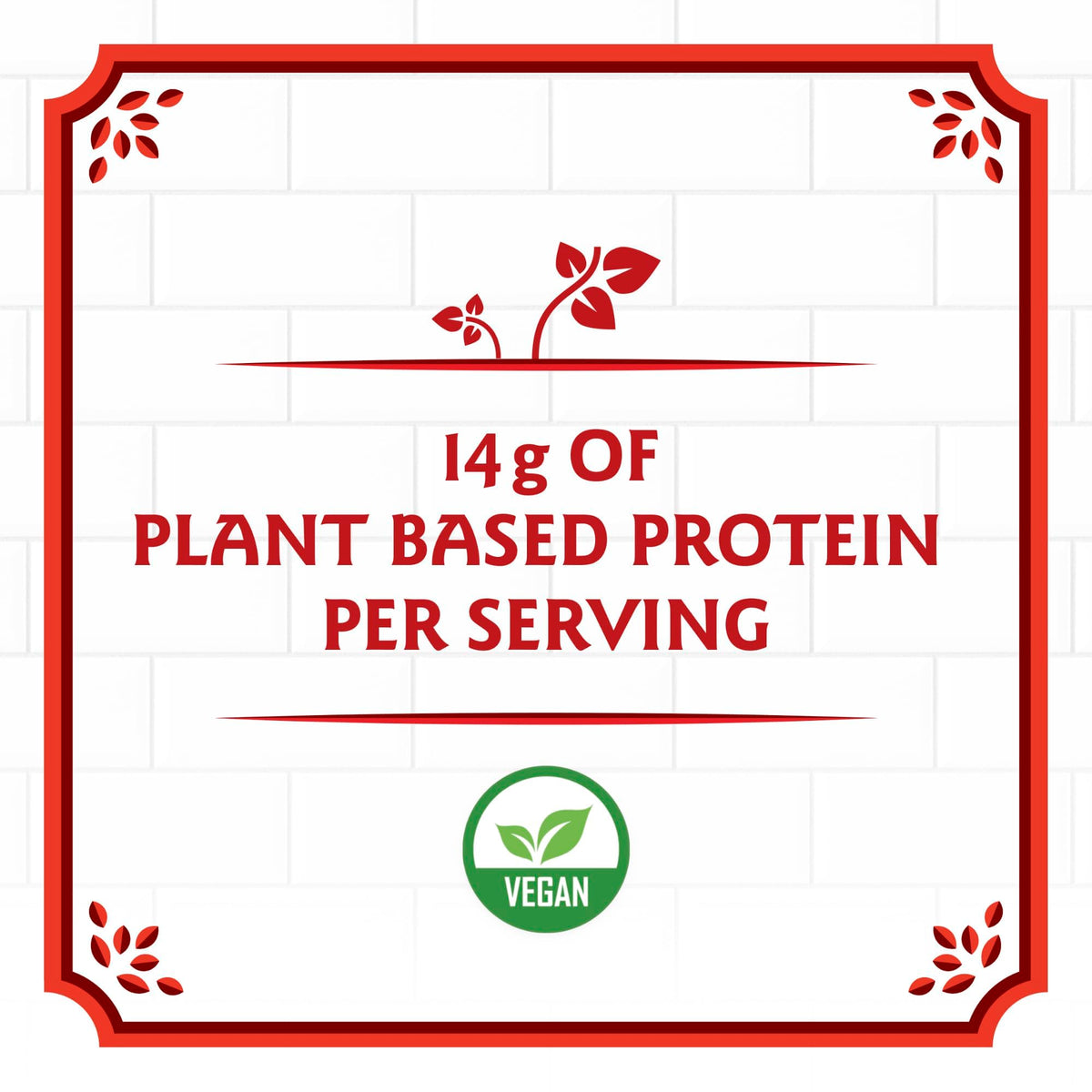 Birch Benders Plant Protein Pancake & Waffle Mix, Vegan, 14 g Plant-Based Protein, Whole Grains, Just Add Water, 14 oz (Pack of 3)
