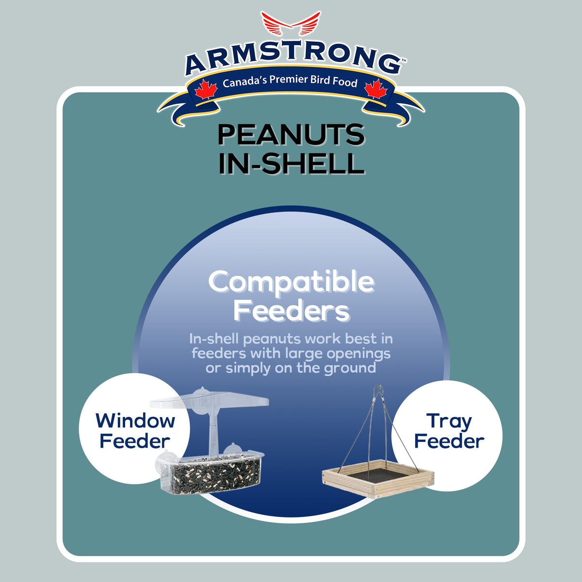 Armstrong Bird Food Peanuts-in-Shell, 3 Pounds - for Blue Jays, Eastern Grey Squirrels and Eastern Chipmunks for Outside Feeders