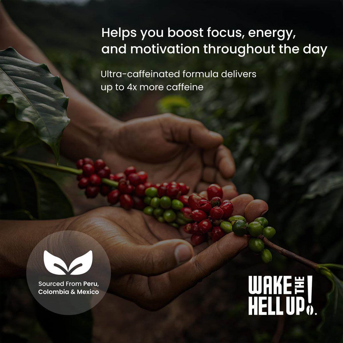 Wake The Hell Up! 1lb Ultra-Caffeinated Pistachio Ground Coffee, Low Acid, Medium-Dark Roast