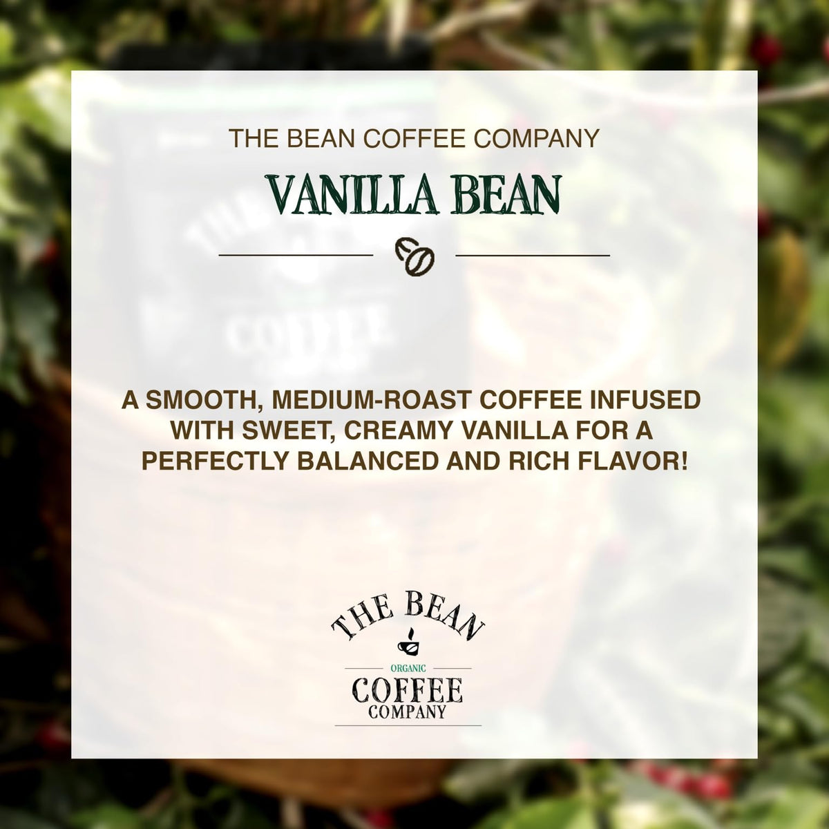 The Bean Organic Coffee Company Vanilla Bean, Medium Roast, Ground Coffee, 16-Ounce Bag,Café molido tostado organico