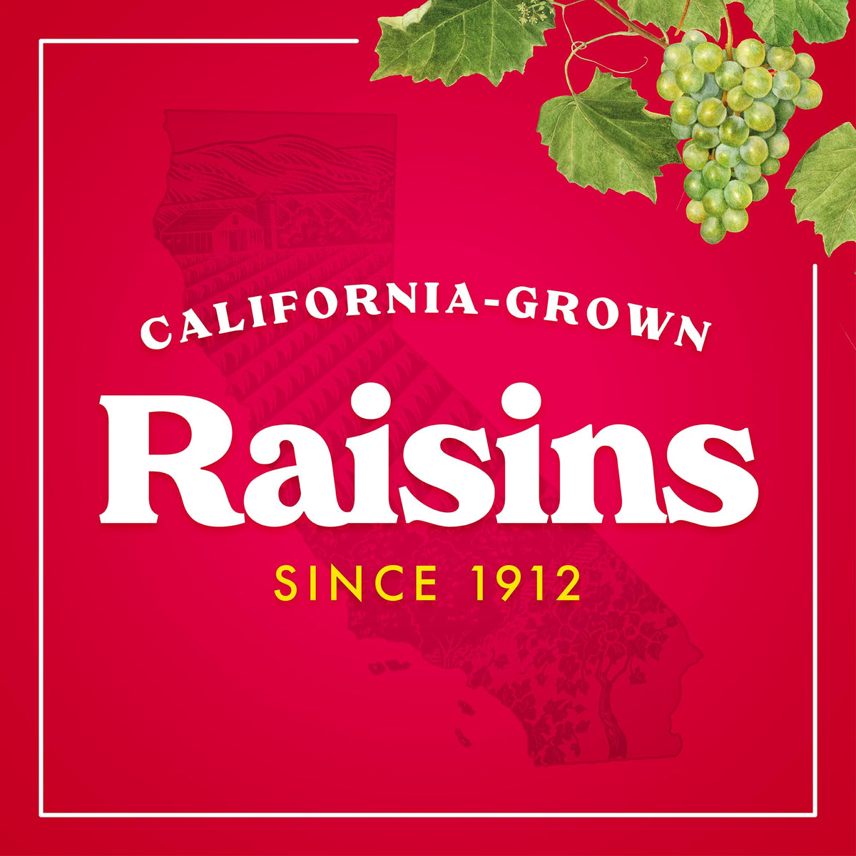 Sun-Maid California Sun-Dried Raisins - 13 oz Resealable Canister - Dried Fruit for Healthy Snacks, School Lunches, and Natural Sweeteners