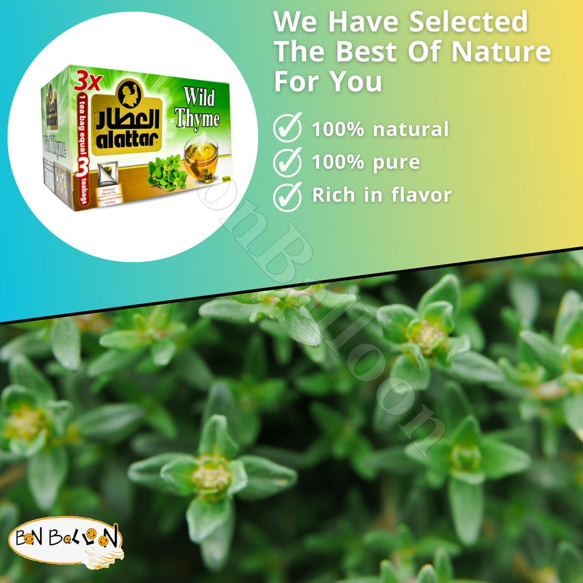 (20 Bags) AlAttar Wild Thyme Zaetar Tea Zaatar Dried Premium Egyptian Herbal Herb Herbs Natural Oriental Arabic Strong Flavor Caffeine Free Non Gmo