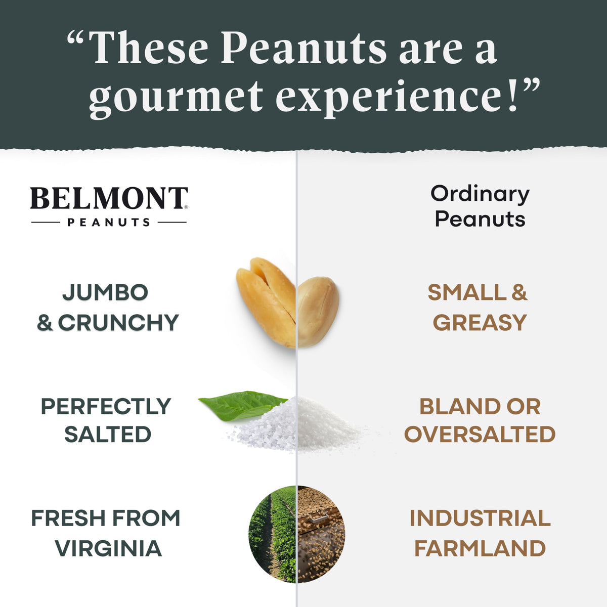 Belmont Peanuts Black Truffle Virginia Peanuts, 25oz, Farms Collection