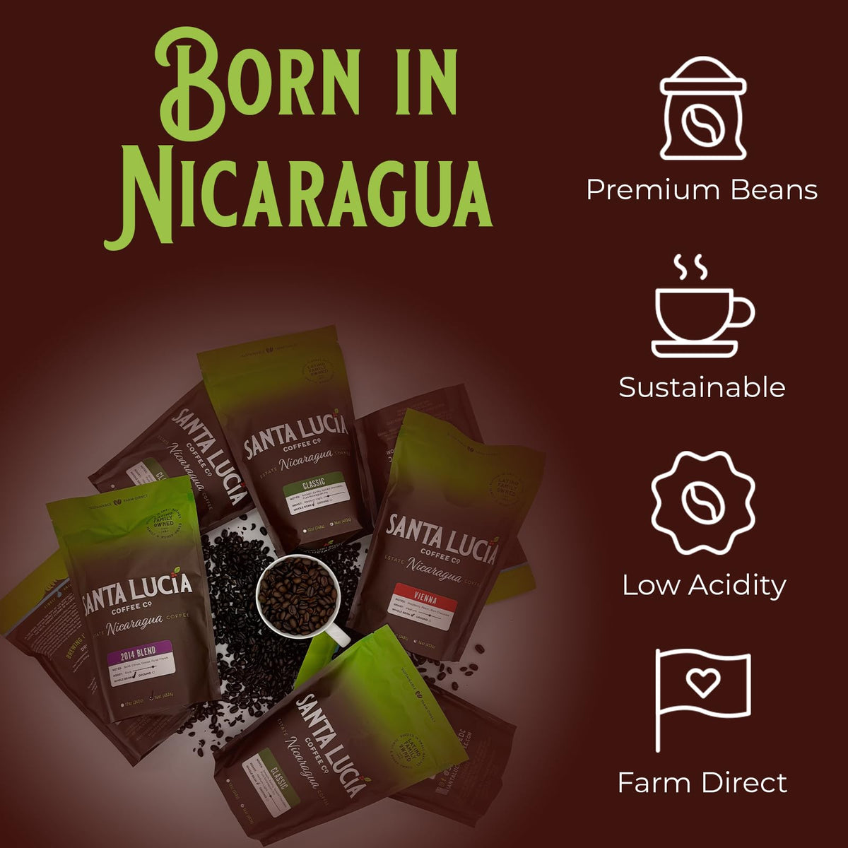 Santa Lucia Coffee Artisan Select Vienna Medium/Dark Roast Coffee - Specialty Nicaraguan Single-Origin - Small Batch - Rich & Smooth Flavor - Low Acid