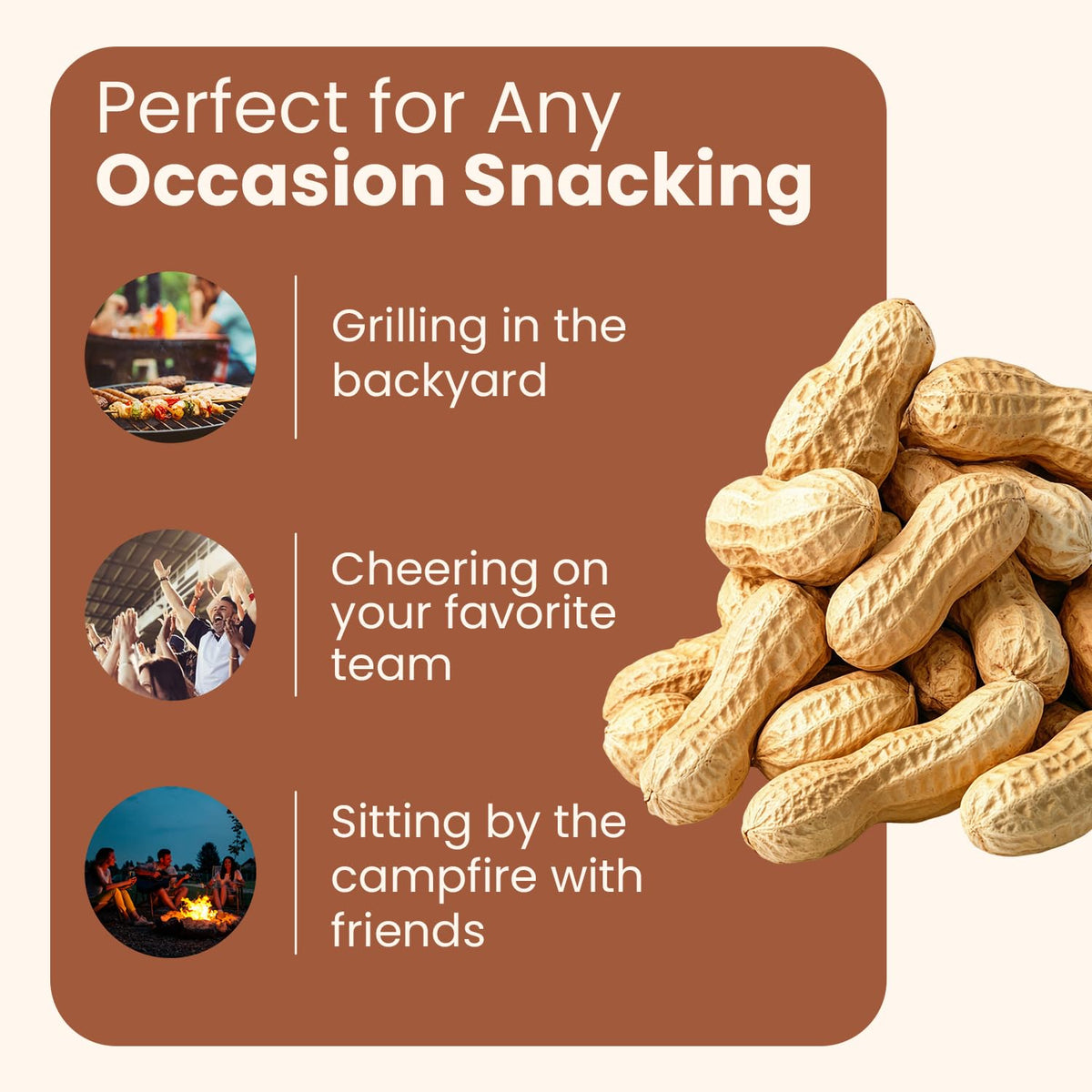 Wellsley Farms Salted Roasted Peanuts In Shell, USA Grown Whole, Non-GMO, Gluten-Free, Vegan, Cholesterol-Free, Shell-Cracking Snack for Game Day, BBQ