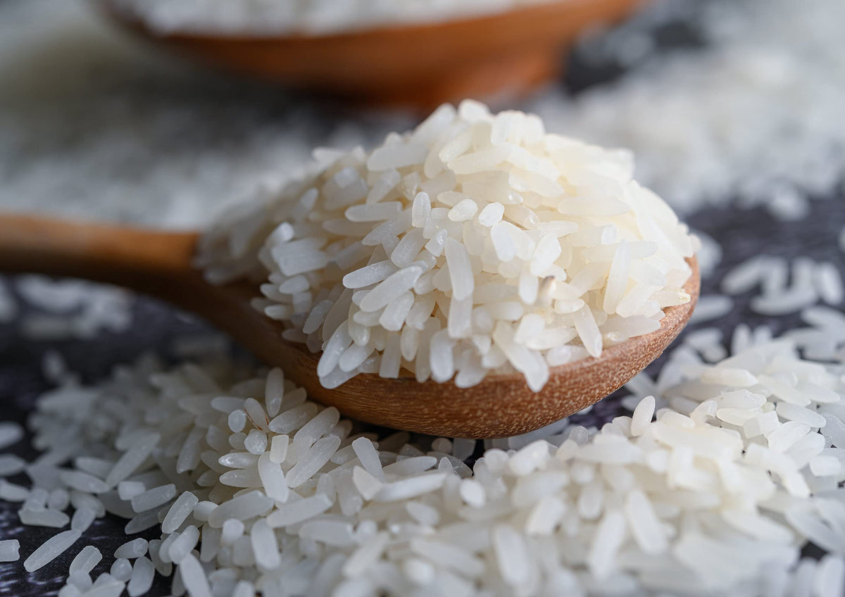 Food to Live - Organic White Jasmine Rice, 1 Pound - Non-GMO, Long-Grain Rice Variety, Raw, Vegan, Kosher, Bulk