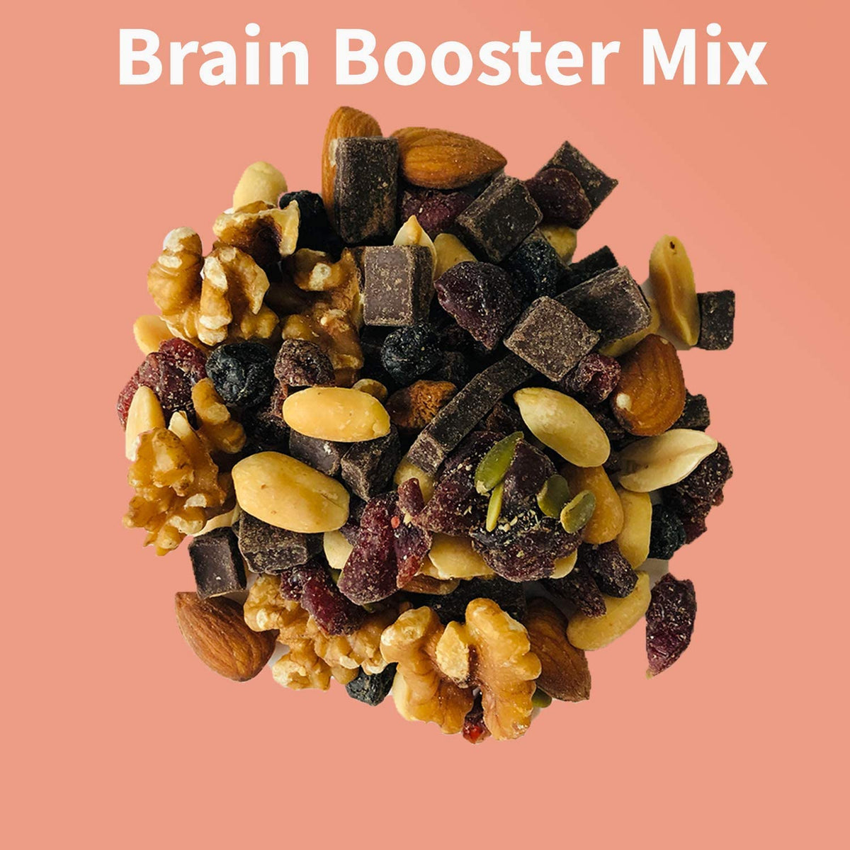 Brain Booster Nut Seed and Fruit Mix - walnuts, almonds, peanuts and a touch of sweetness from dried cranberries, blueberries, and chocolate. (1.75