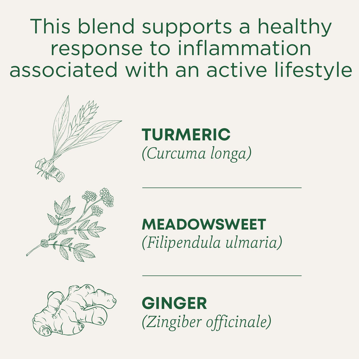 Traditional Medicinals Tea Turmeric Meadowsweet & ginger,16 count.