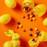Peanut Butter Chocolate Candy Pieces Bulk 1 Pound Bag - Colorful Candy Coated Peanut Butter Bites - Easter Candy for Egg Hunts, Candy Bowls, Basket