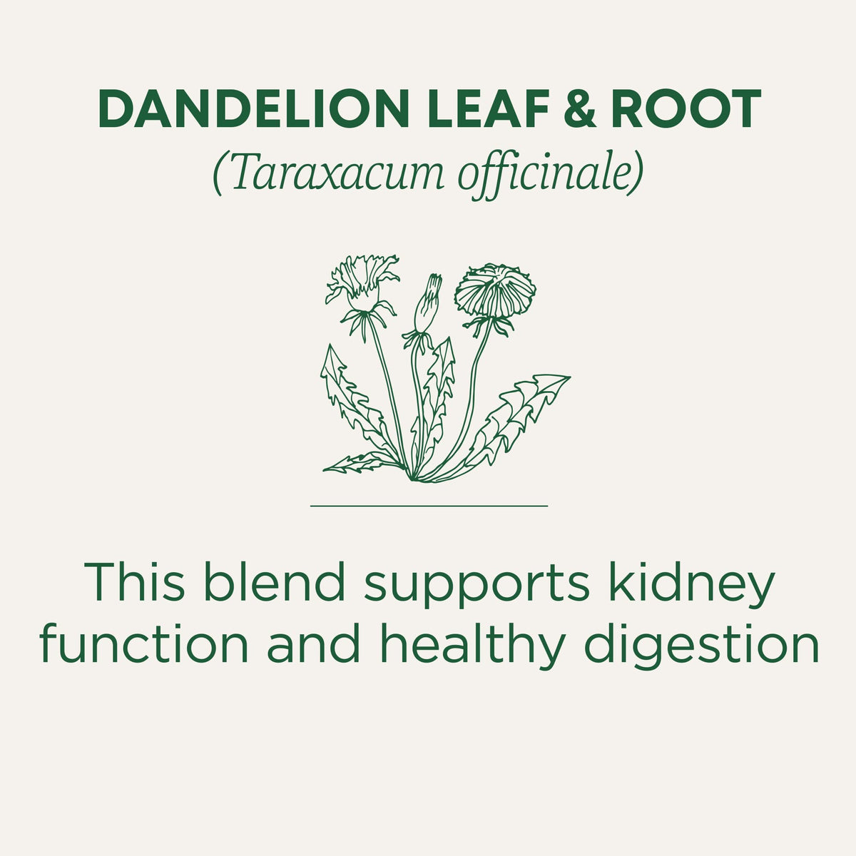 Traditional Medicinals Organic, Dandelion Leaf & Root - Dandelion Root Tea, Supports Normal Detox + Digestion - Kosher, Non-GMO, Caffeine-Free