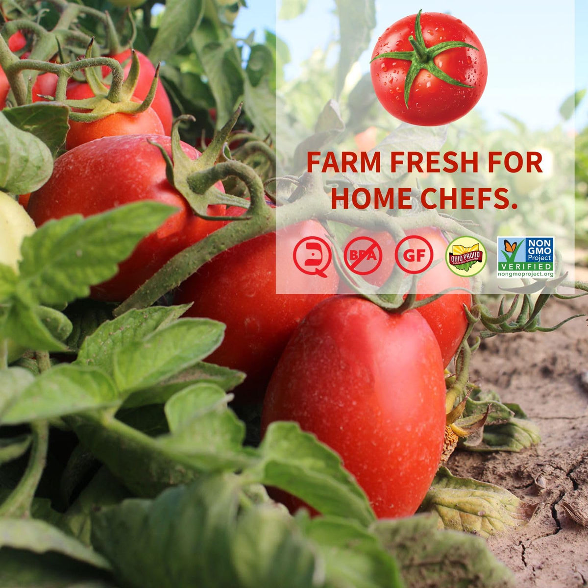 Dei Fratelli Low Sodium Diced Tomatoes (14.5 oz. Cans, 6 pack) - Vine-Ripened - Non-GMO