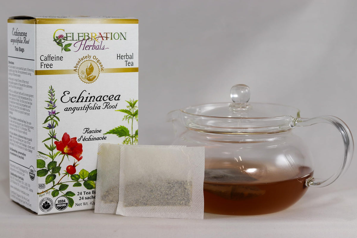 Celebration HERBALS Echinacea ANG Herb Tea Organic 24 Bag, 0.02 Pound