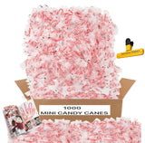 MINI CANDY CANES (1000 MINI CANDY CANES) | Mini Candy Canes Peppermint Flavored | Red & White Stripes - Individually Wrapped Gift Pack | Holiday Candy
