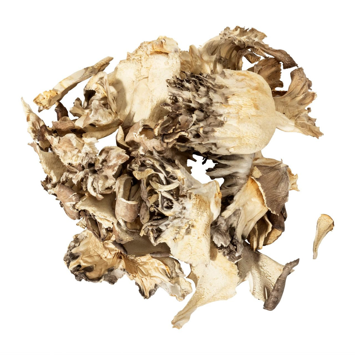 Essential Spice Dried Maitake Mushrooms - Whole, Rich Umami Flavor & Frilly Texture - Ideal for Soups, Stir-Fries, Broths & Risottos - Easy
