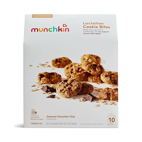 Munchkin Milkmakers Lactation Cookie Bites, Oatmeal Chocolate Chip, 10 Ct
