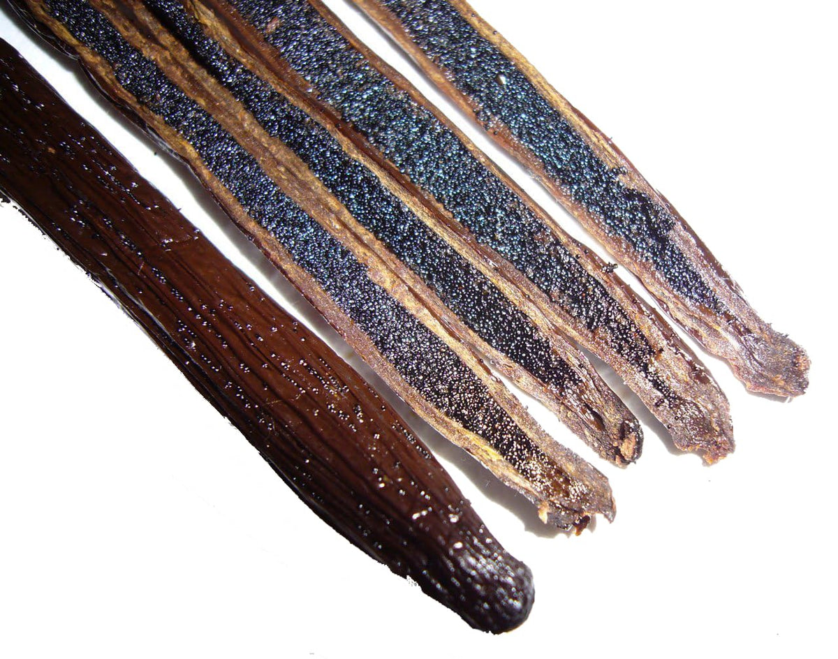 1 LB Comoros Vanilla Beans Whole Grade A Vanilla Pods for Homemade Vanilla Extract, Baking, Ice Cream, Flavoring, & Vanilla Powder