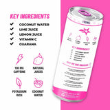TAKE FLIGHT ENERGY, Natural Juices, Guarana, Focus & Hydration (LIGHT 100MG CAFFEINE, SINGLE CAN)