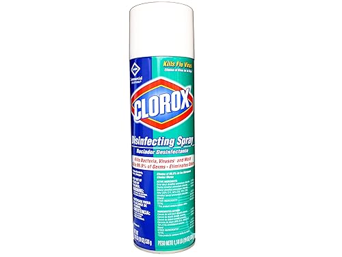 Clorox® Disinfecting Spray