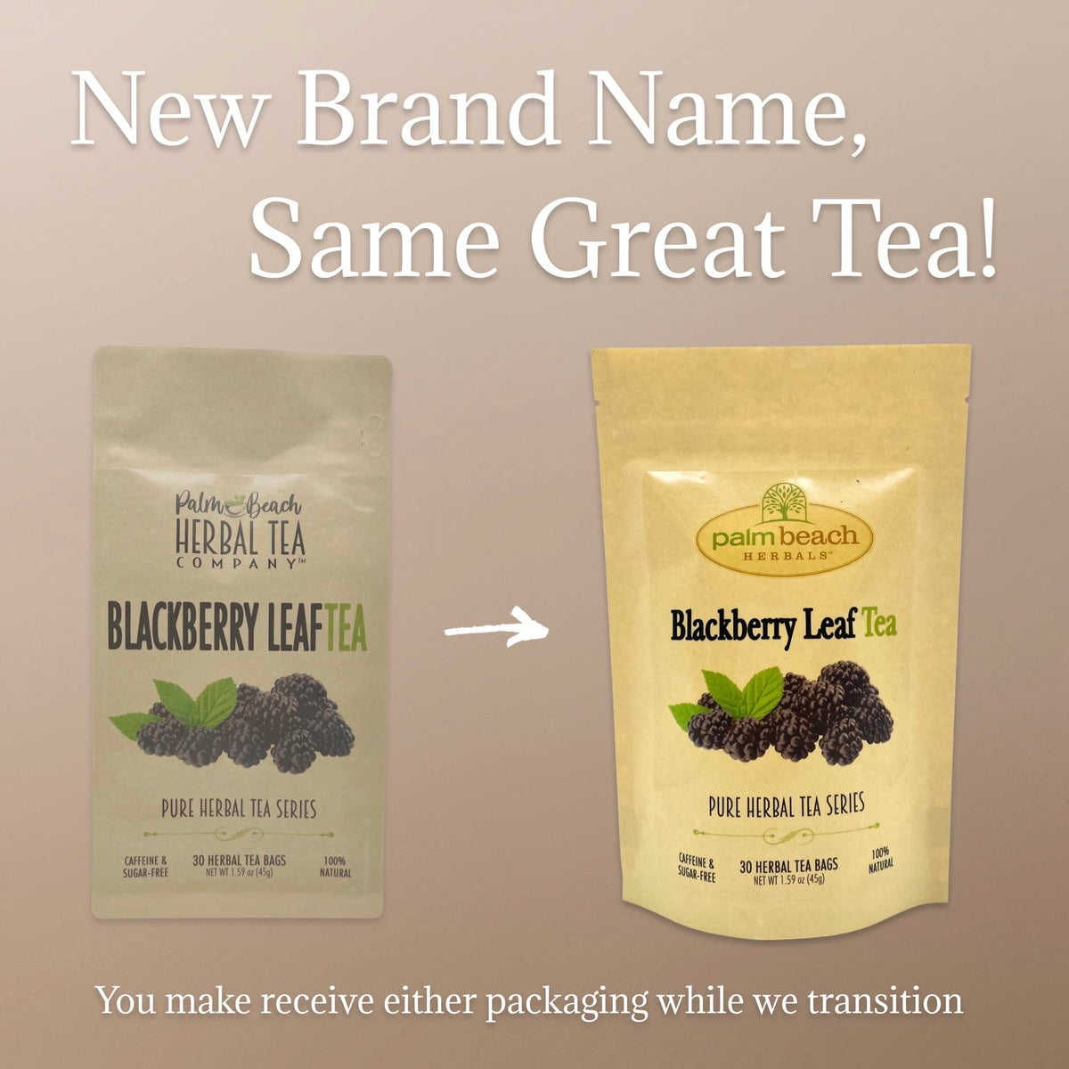 Palm Beach Medicinal Herbs - BlackBerry Leaf Tea - Pure Herbal Tea Series, 30ct