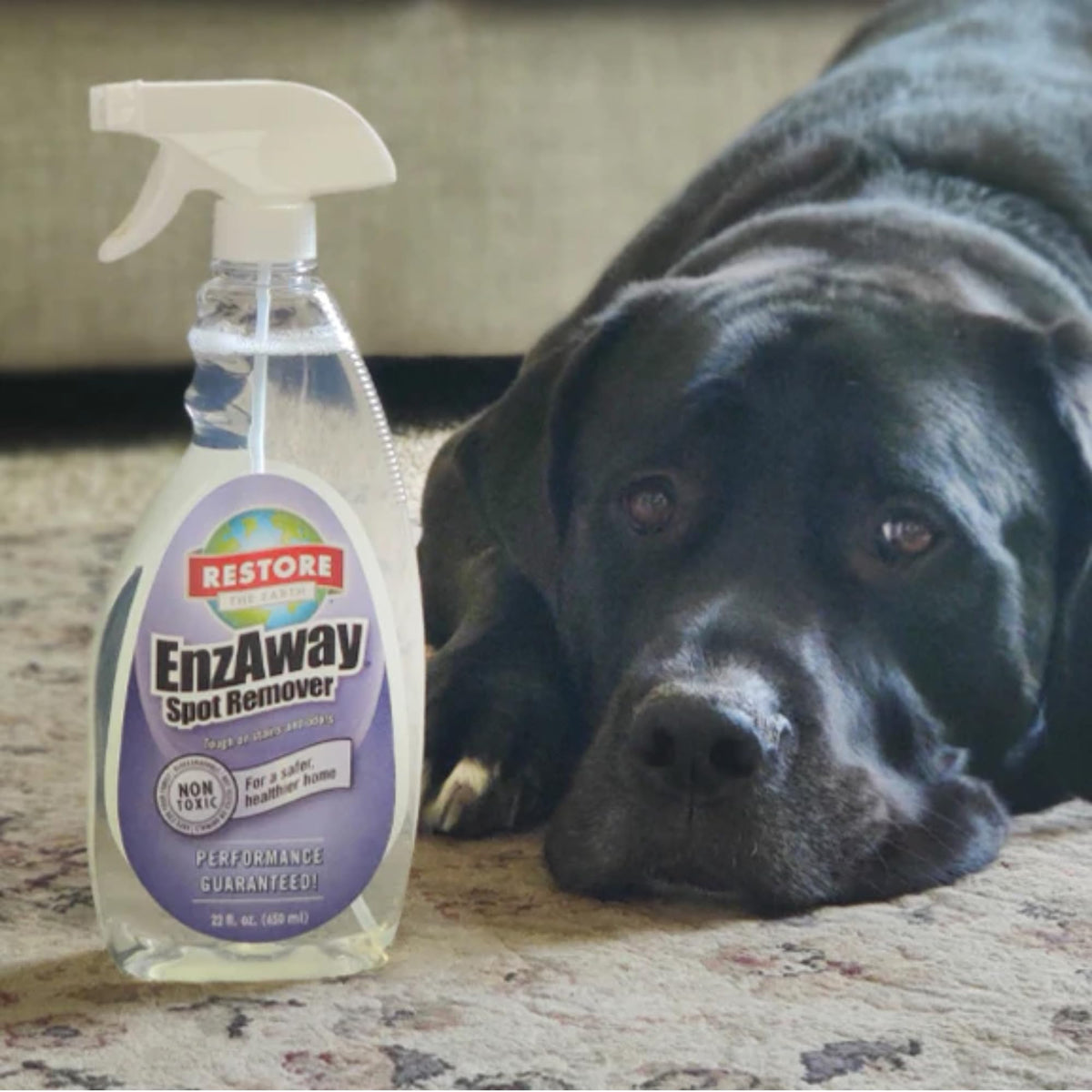 Restore Naturals Enzaway Spot Remover Spray - 22oz - Stain Treater Spray, Rug Cleaner, and Laundry Stain Remover | Plant Based | Biodegradable | Non