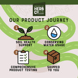 Apple Fiber Powder, by Herb Co, Malus Domestica, From the USA, for Baking, Thickening Soups & Sauces, Beverages, Encapsulation, Face Masks,1 lb