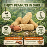 Peanuts In Shell | 1 LB Bulk Value Pack | Roasted & Salted - Healthy natural snack, Perfect for office, share and TO-GO - Crunchy Whole Peanuts