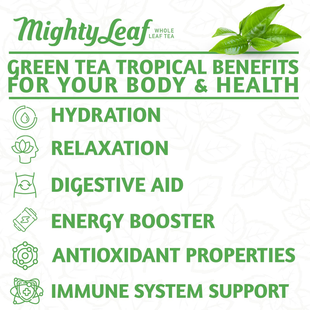 Mighty Leaf Green Tea Tropical - 100 Count Whole Leaf Green Tea Bags - Pyramid Sachets with Pineapple, Tropical Fruit & Floral Flavors