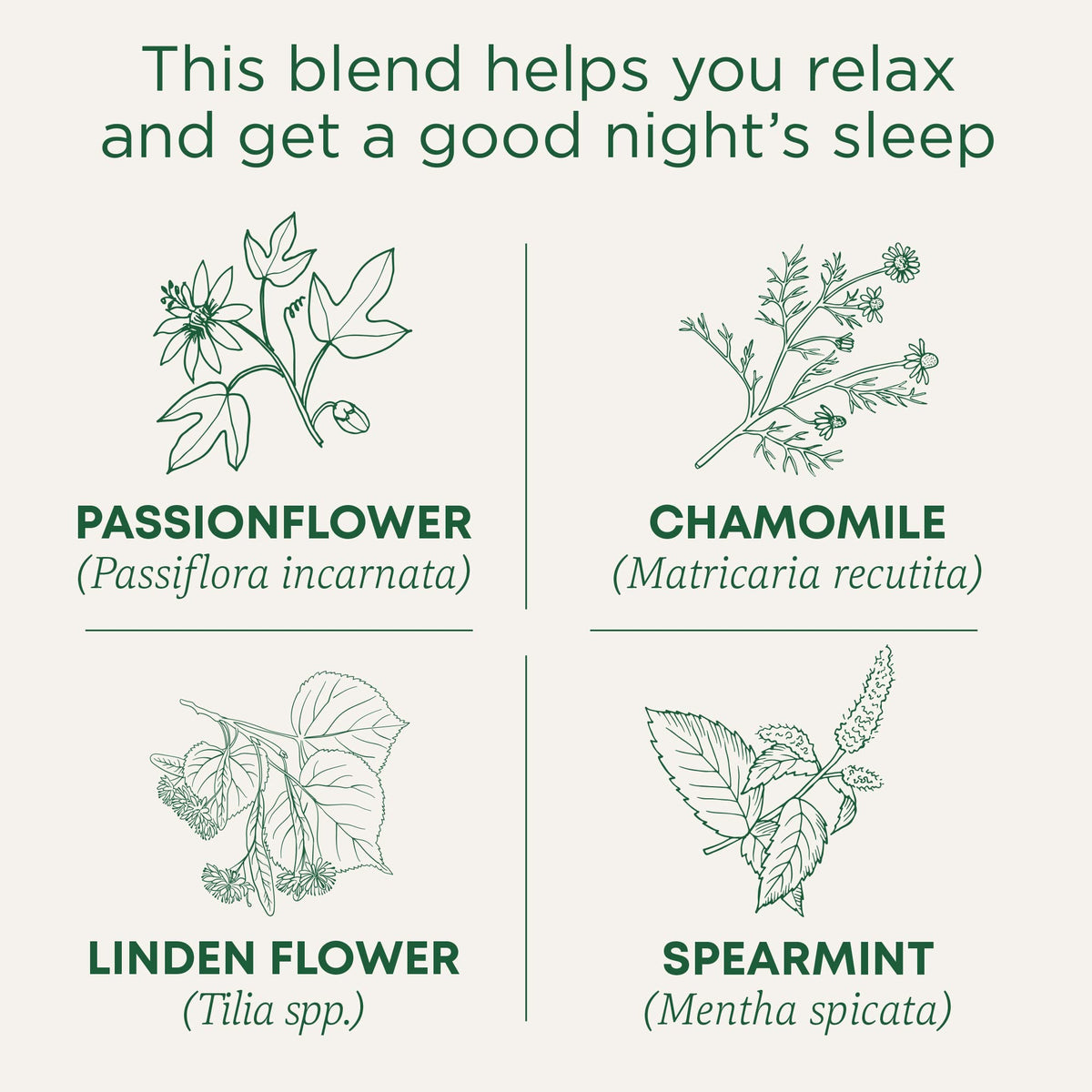 Traditional Medicinals Organic Nighty Night Tea, 16 Tea Bags (Pack of 1)
