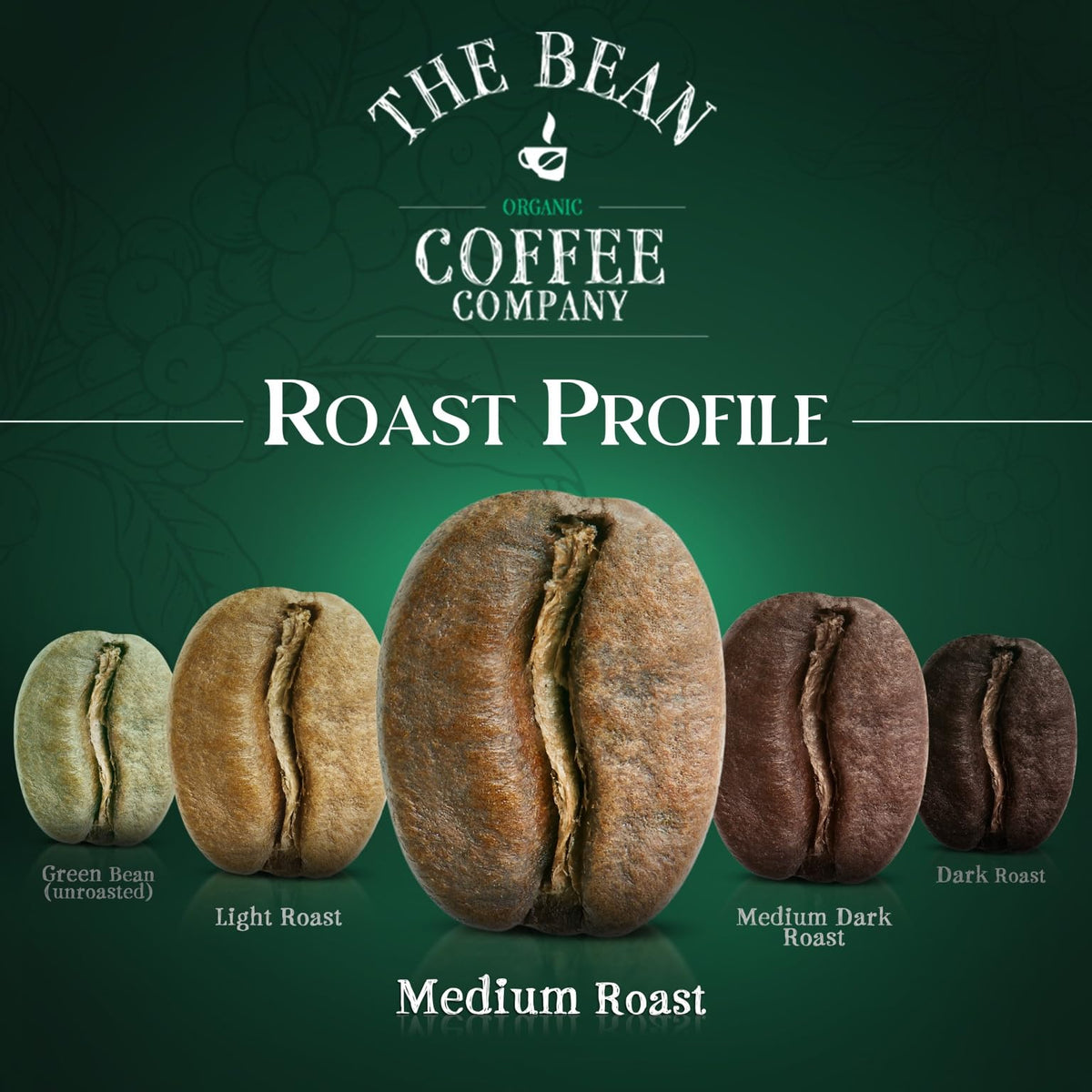 The Bean Organic Coffee Company Aloha Bean (Hawaiian Hazelnut), Medium Roast, Whole Bean Coffee, 16-Ounce Bags (Pack of 2)