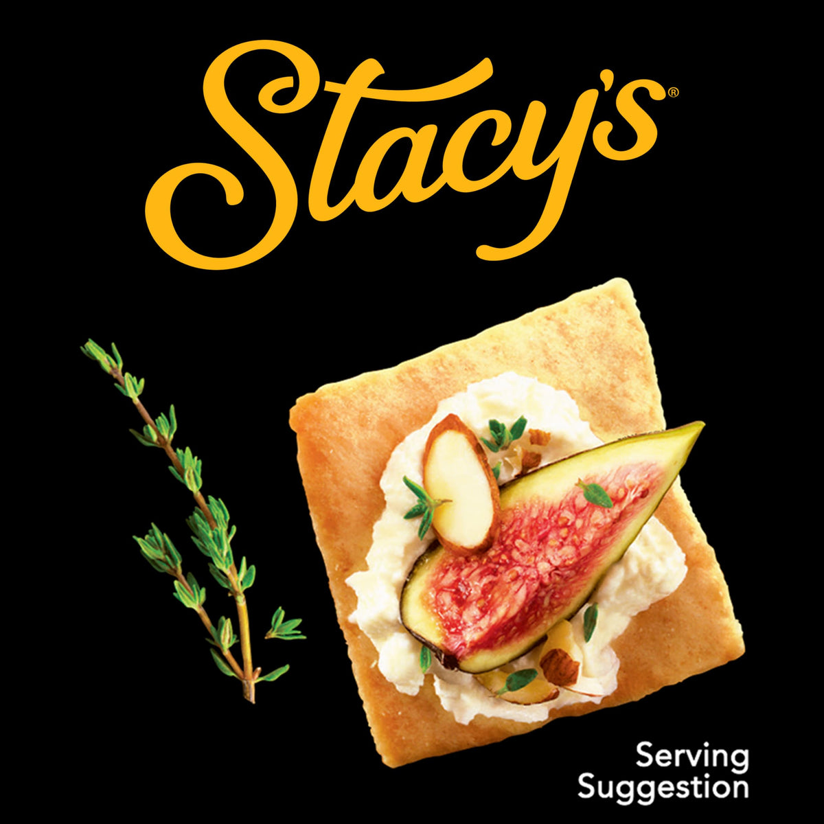STACYS SNACKS Sea Salt Pita Chips, 16 OZ