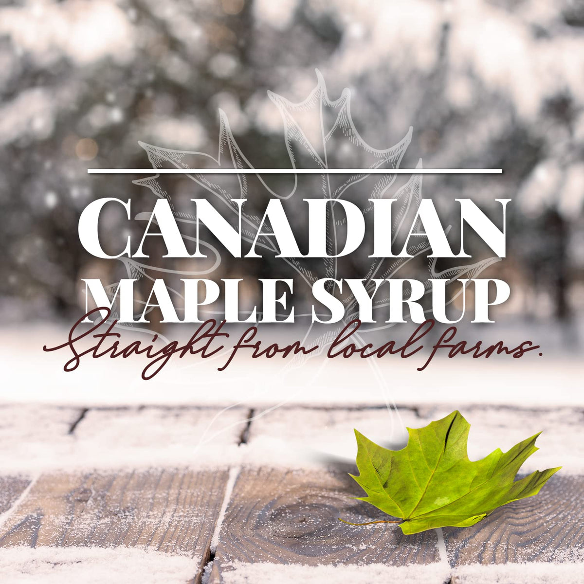 Brien 100% Pure Maple Syrup | Gluten Free Vegan Syrup | Maple Syrup Dispenser Refill | Real Maple Syrup Can Product From Canada 540ml / 18.25 Ounces